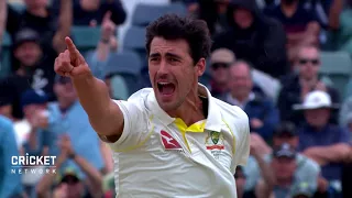 Starc's 'ball of the summer' skittles helpless Vince