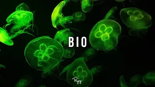 "Bio"  - Melodic Rap Beat Free New Bouncy Hip Hop Instrumental Music 2019 | Royzart #Instrumentals