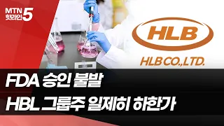 HLB 간암 신약 FDA 승인 불발…HLB그룹주 일제히 하한가 / 머니투데이방송 (뉴스)