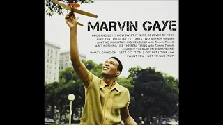 Marvin Gaye ft. Tammi Terrell-Ain't Nothing Like The Real Thing