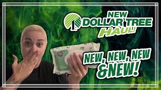 *** NEW Dollar Tree Haul *** NEW NEW NEW! 1/8/24