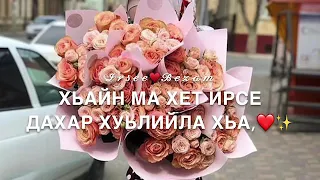 Дал декъал йойла хьо♥️