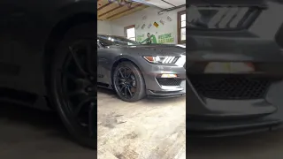 Shelby gt350 exhaust And Walkaround!!!!