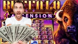 We Played Max Bet Until We Hit the Rare Super Stampede on Buffalo Ascention - BIGGEST JACKPOT EVER!