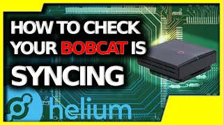 SOLVED How to see if my Bobcat 300 is syncing || how long until my device is fully synced