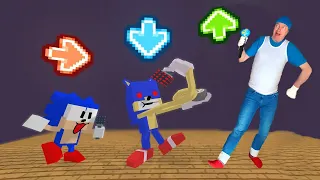 FNF Character Test Gameplay VS Minecraft Animaton VS Sonic in real life