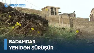 Badamdar yenidən sürüşür