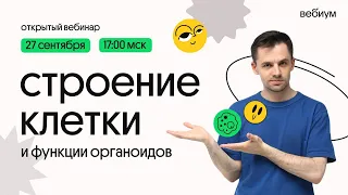 Строение клетки. Биология ЕГЭ. Даниил Дарвин. Вебиум