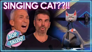 Singing CAT Auditions For Britain's Got Talent 2023 And Leaves Everyone CONFUSED .. | Top Talent