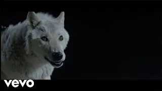 The Kills - Siberian Nights (Official Video)
