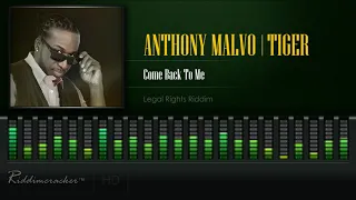 Anthony Malvo & Tiger - Come Back To Me (Legal Rights Riddim) [HD]