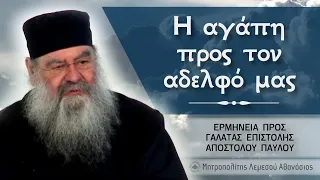 Η αγάπη προς τον αδελφό μας | Ερμηνεία προς Γαλάτας Επιστολής 15/05/2024 #17