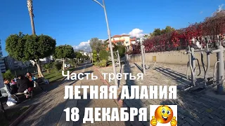 🇹🇷 ALANYA Прогулка в летнюю жару 18 декабря Алания Турция 2020 Часть 3