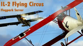 IL-2 Flying Circus Vol. 2 | Holey Bristol! - Flugpark Multiplayer Server - Pfalz D.IIIa - Ultrawide