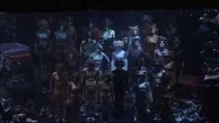 Jellicle Cats from Cats