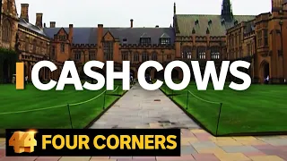 Cash Cows: Australian universities making billions out of international students | Four Corners