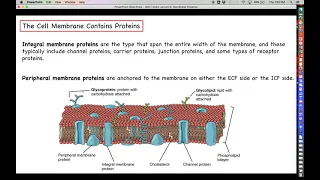 Proteomics - Membrane Proteins - Part 1 - Overview