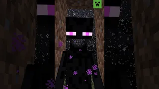 ENDERMAN'S BLOCK COLLECTION
