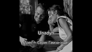 Серик Гамза-заде – Unadyn /Текст