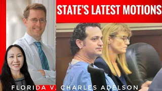 Latest Filings in Case against Charles Adelson re: Law Prof Dan Markel