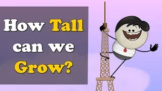 How Tall can we Grow? + more videos | #aumsum #kids #science #education #children