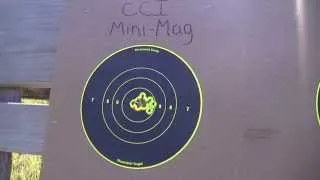 My Ruger 10/22 accuracy, part 2 of 2: results.