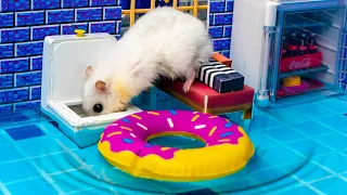 🐹Hamster robbed Barbie's house😱🐹 maze with Traps hamster🐹 Minecraft Maze