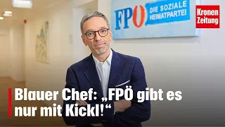 Blauer Chef: „FPÖ gibt es nur mit Kickl!“ | krone.tv SOMMERGESPRÄCHE