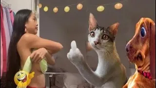 New Funny Animals 2024 🤣 Funniest Cats and Dogs Videos 😹🐶 Part 22
