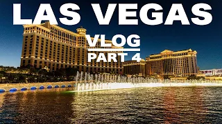 Las Vegas Vlog 2024 | Part 4 | The Henry | Bellagio Conservatory | High Roller | Bavettes Steakhouse