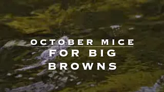 October Mice for Brown Trout