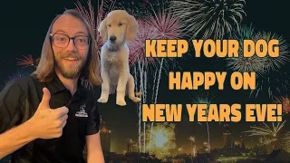 How to Have a Safe and Calm New Years with Your Dog! Tips for Anxious Dogs