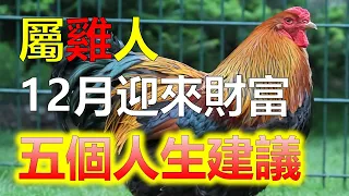 2024生肖運勢，屬雞的人：12月迎來喜事連連，財富來，事業順，愛情幸福滿滿！屬雞人接財接福接好運，順風順水事事順！"屬雞的人在12月將迎來一系列的好事和喜事，無論是在財富、事業還是愛情方面