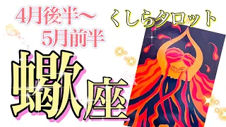 【さそり座】2023年4月後半～5月前半のタロット占い✨真実の自分を表現する時。金銭面での吉兆。発信力が強化。頭ではなく体で感じる知性を大切に😊