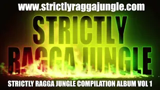 STRICTLY RAGGA JUNGLE COMPILATION ALBUM VOL 1 MIX