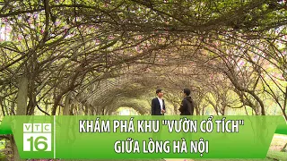 Khám phá khu "vườn cổ tích" giữa lòng Hà Nội | VTC16