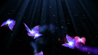 FLYING BUTTERFLY BACKGROUND/NEON/VIDEO BACKGROUND