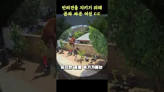 곰과 싸우는 용감한 여성 ㄷㄷ