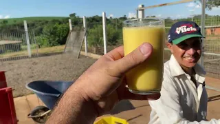 ELES PLANTAM, COLHEM E FAZEM A POLPA DO MARACUJÁ