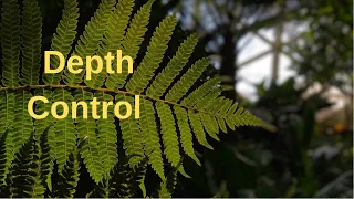 DEPTH CONTROL on IPhone