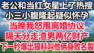 老公和当红女星上了热搜,小三小腹隆起疑似怀孕,当晚我怒甩离婚协议,隔天分走渣男两亿财产,下一秒爆出狠料叫他俩身败名裂!