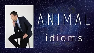 Animal Idioms / Ағылшын тілі / ҰБТ Академиясы