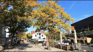 Harz - Hahnenklee - Spaziergang durch die Fußgängerzone