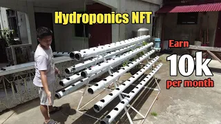 How to Start Commercial Hydroponics System Using PVC Pipe For Beginners (150 Holes)