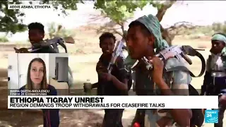 Ethiopia's Tigray demands troop withdrawals for ceasefire talks • FRANCE 24 English