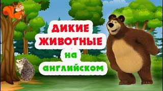 ДИКИЕ ЖИВОТНЫЕ на английском