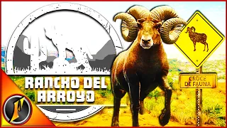 First Hunt on Rancho Del Arroyo [Early Access]