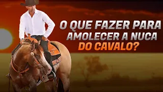 O que fazer para amolecer a nuca do cavalo?