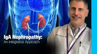 IgA Nephropathy: An Integrative Approach