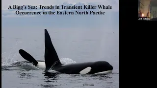 Marine Night Oct 2020 The Ecology of Transient (Bigg's) Killer Whales